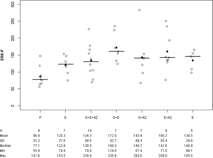 ERK-p expression in BxPc3.