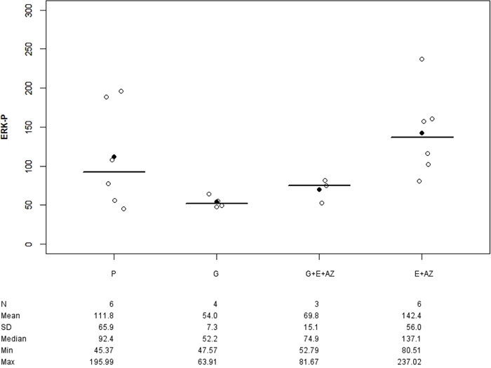 ERK-p expression in PANC-1.