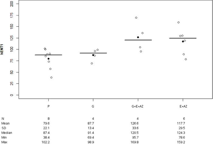 HENT1 expression in PANC1.