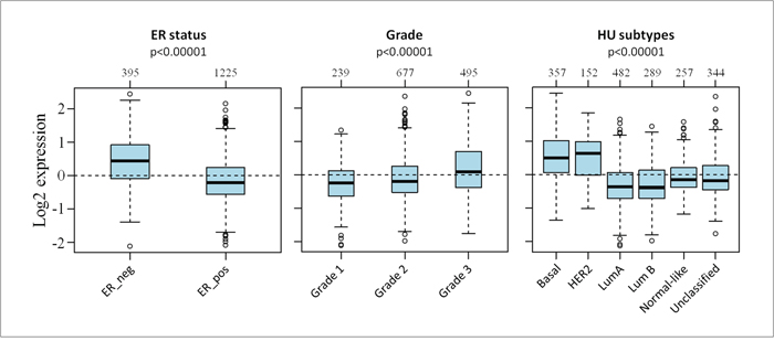 Association between S100s gene expression and clinical parameters.