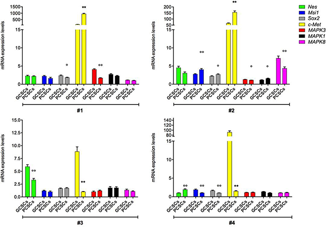 Nes, Msi1, Sox2, c-Met, MAPK3, MAPK1 and MAPK8 gene expression in GCSC/PCSC pairs.