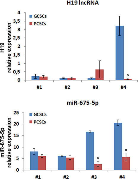 H19 lncRNA and miR-675-5p expression in GCSC/PCSC pairs.