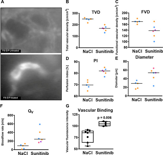 F8-SIP demonstrates improved vascular accumulation in sunitinib resistant tumor vessels.