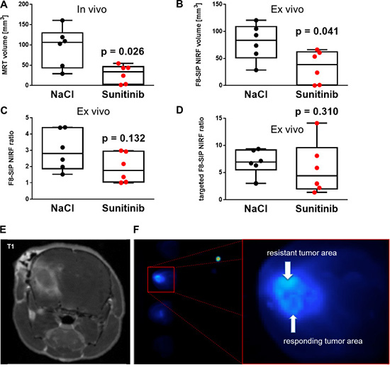 NIRF imaging allows differentiation between therapy resistant and therapy responsive areas in experimental glioma.