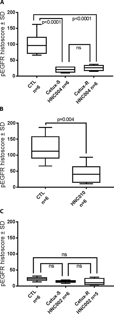 pEGFR histoscore (Box Plot) performed on the tumors harvested at day 8 after sacrificing the mice used in the imaging experiments.