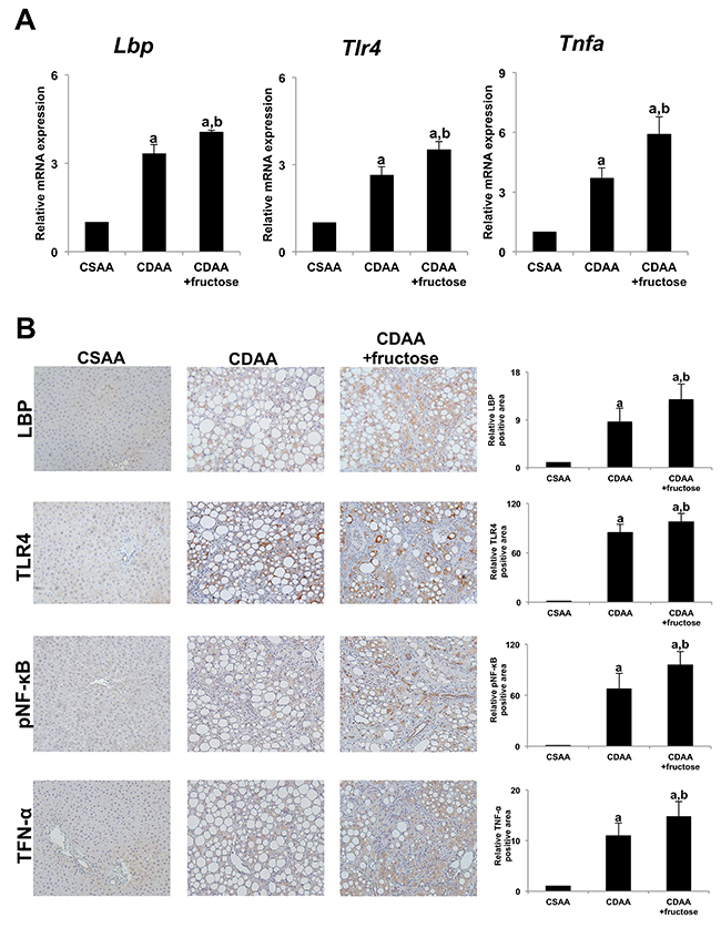 Fructose enhances LPS-TLR4 signaling in rat liver.