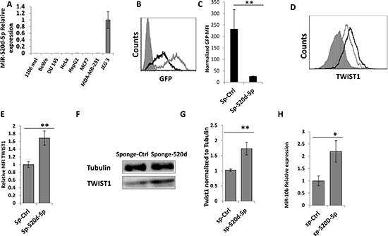 miR-520d-5p endogenously controls TWIST1 expression.
