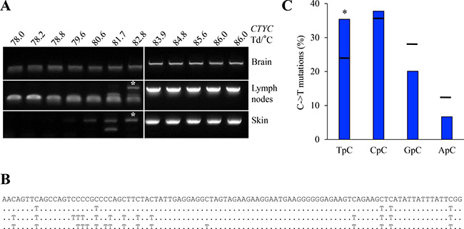 A3 edited mtDNA in vivo.