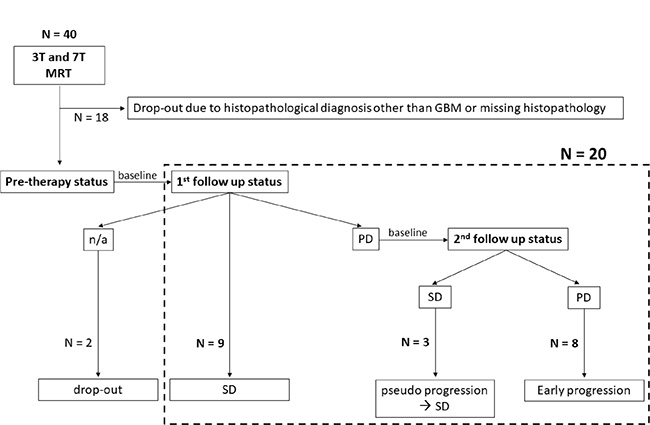 Enrollment of patients and consecutive response assessment.