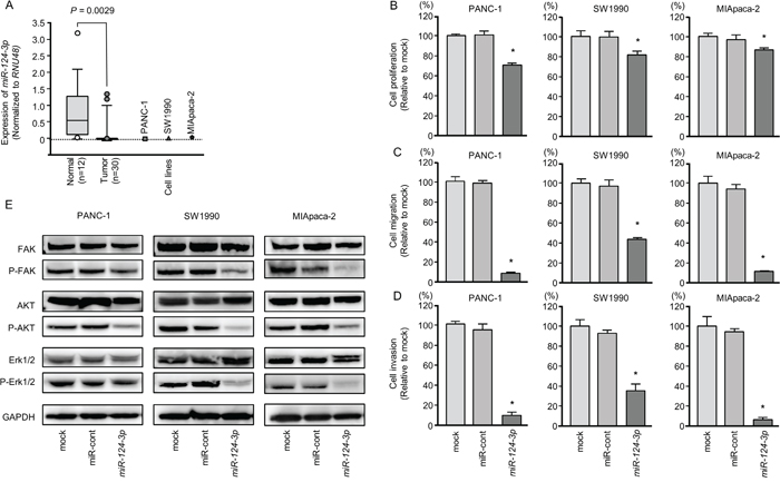 Anti-tumor functions of miR-124-3p in PDAC cell lines and decreased phosphorylation of the components of oncogenic signaling pathways.