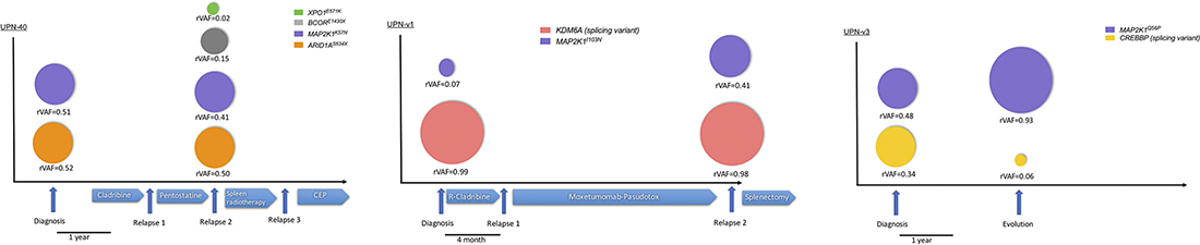 The mutations described at diagnosis are either maintained or evolving at relapse.