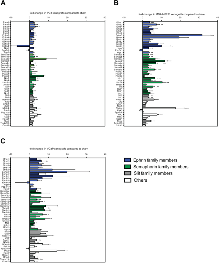 A subset of axon guidance molecules is exclusively induced in osteolytic bone metastasis.