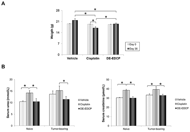 Administration of DE-EDCP is accompanied by fewer side effects compared to cisplatin.
