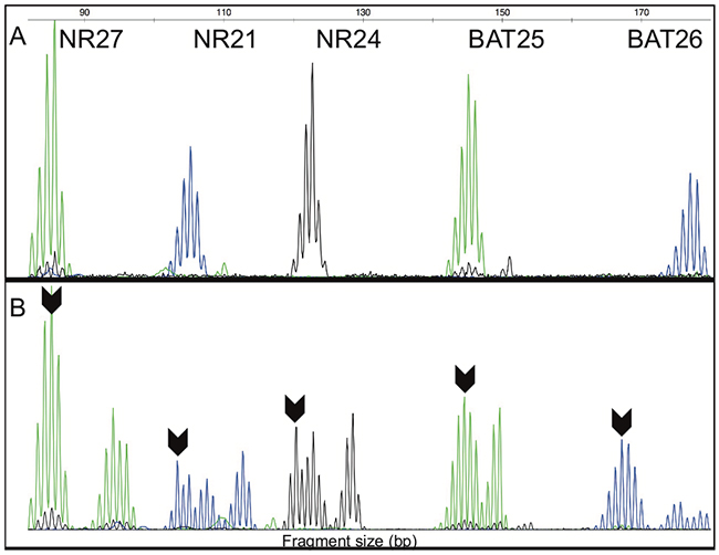 Figure 2: