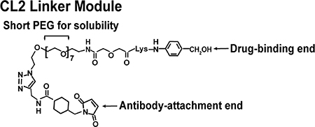 Representation of structure of the CL2A linker used to bind SN-38 to the anti-TROP-2 IgG to form sacituzumab govitecan.