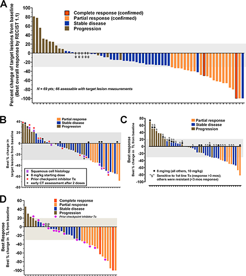 Anti-tumor responses reported in patients with several epithelial cancers who were treated with sacituzumab govitecan, an antibody-drug conjugate targeting TROP-2.