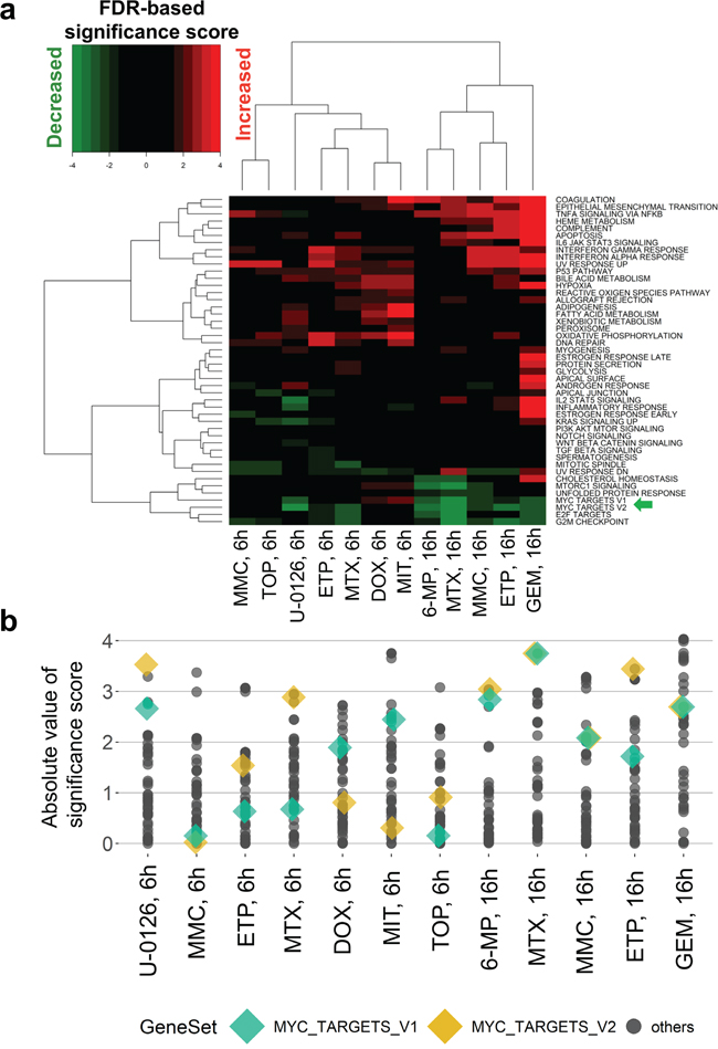 Conventional enrichment analysis entirely prioritized gene sets other than MYC target signatures.