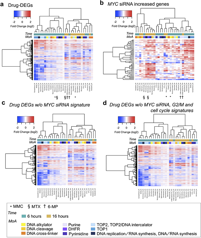 MYC downstream genes enabled DNA-damaging agents with the same MoA to cluster closer together.