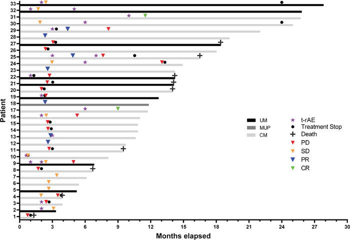 Swimmers plot of melanoma patients treated with low-dose ipilimumab and standard-dose pembrolizumab.