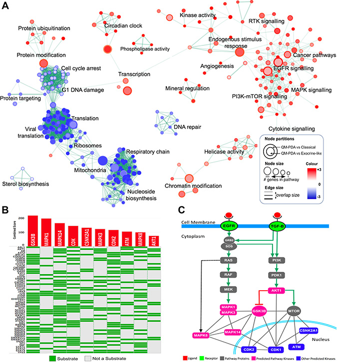 Figure 2: