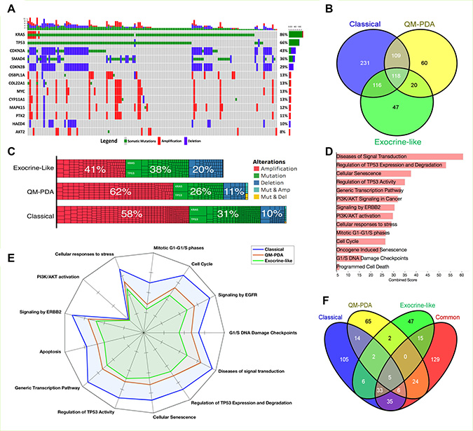 Mutation and gene copy number analyses.