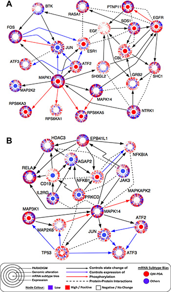 Figure 6: