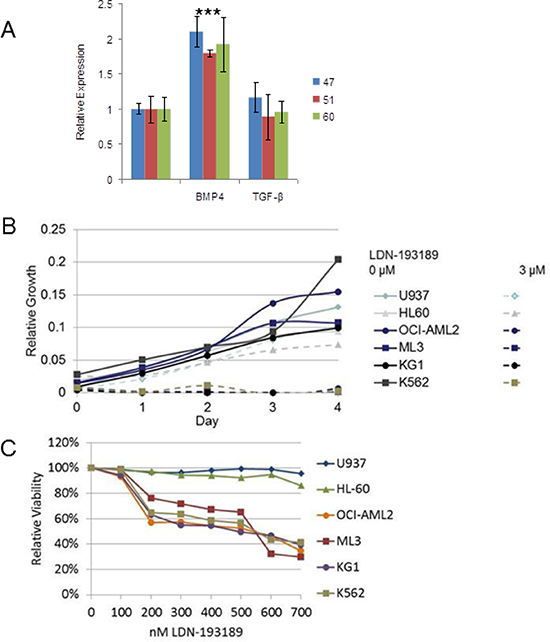 BMP4 induced MIXL1, an important survival axis and therapeutic target in AML.
