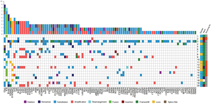Mutational profile of 20 patients represented by a heatmap (left).