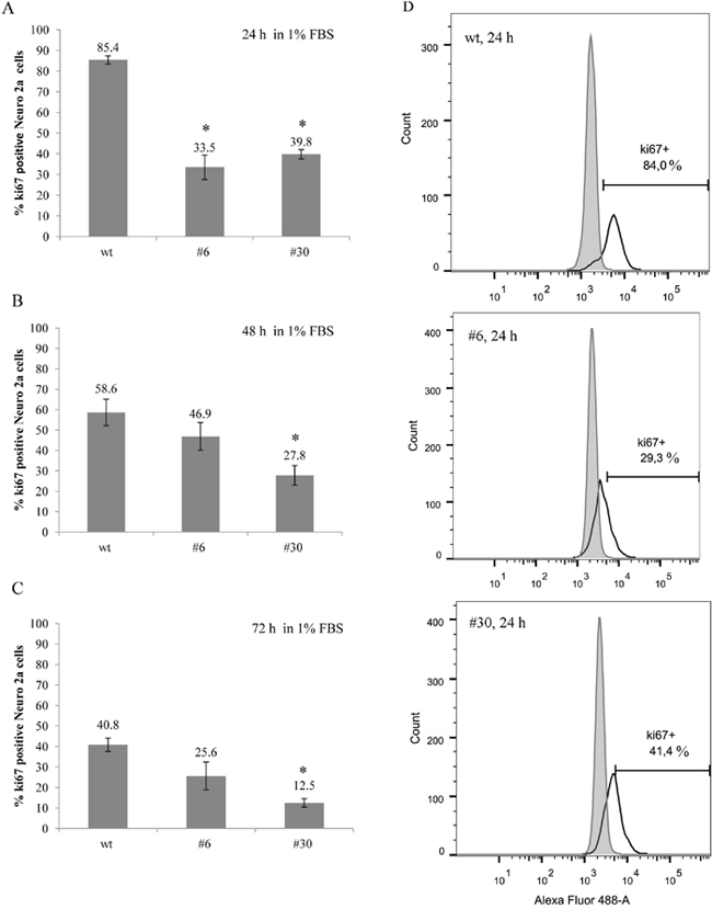 uPAR knockout results in a decreased amount of Ki-67-positive cells (low serum conditions).