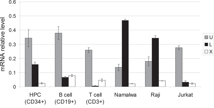 Relative activity of the U, L, and X promoters of the POU2F1 gene in normal and malignant human hematopoietic cells.