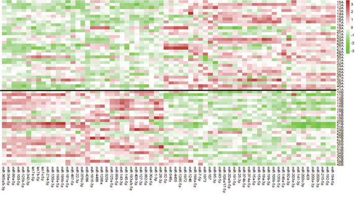 Heat map of differentially expressed miRNAs between pre-therapy and post-therapy tumor samples in patients with pIR.