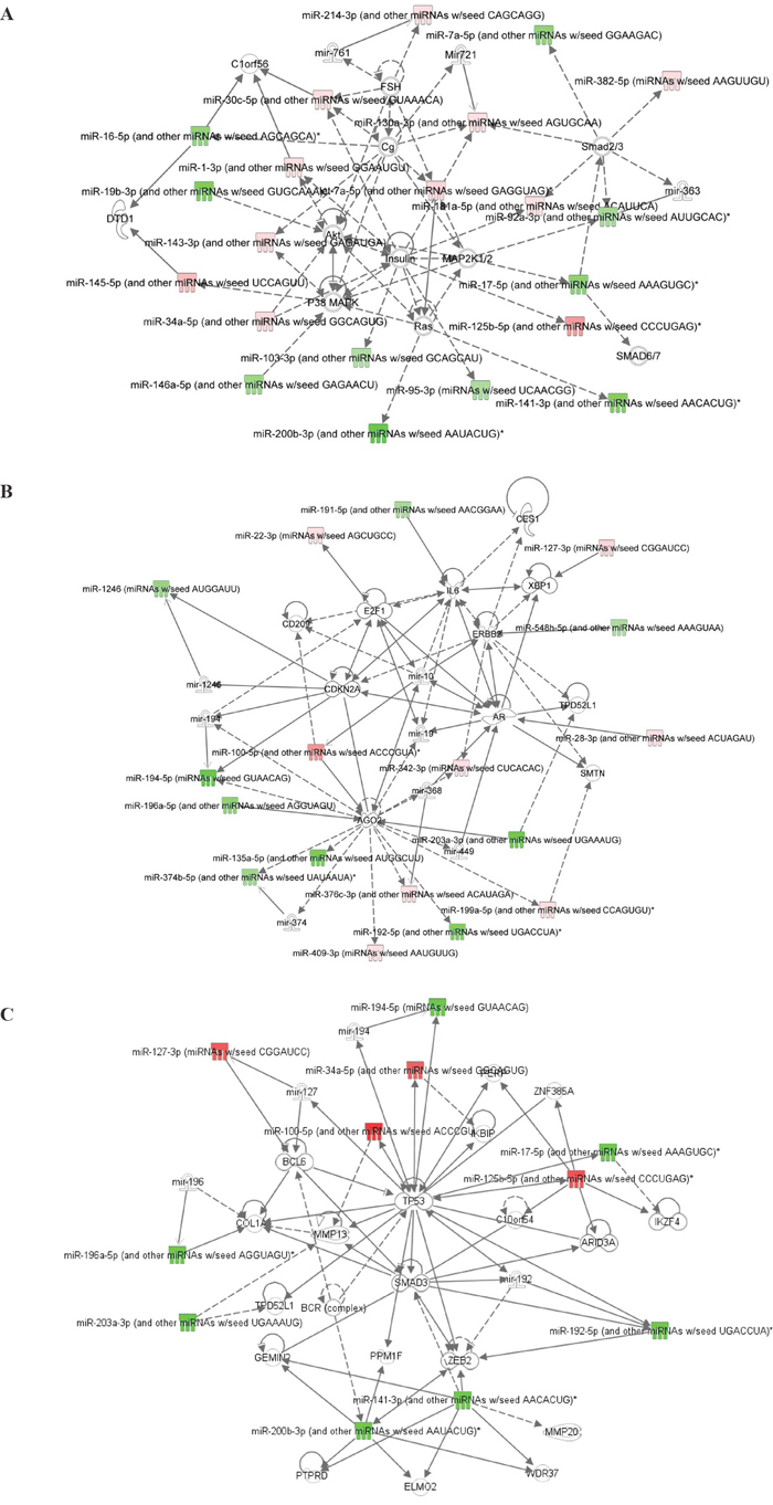 Ingenuity Pathway Analysis (IPA) of miRNAs differentially expressed between pre-therapy and post-therapy tumor samples from patients with pIR.