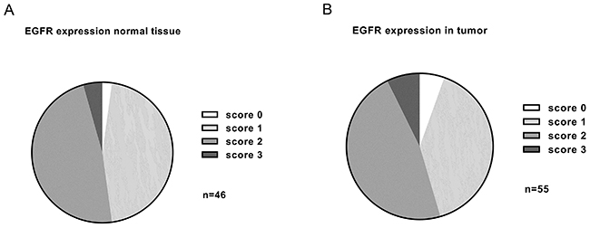 Figure 5: