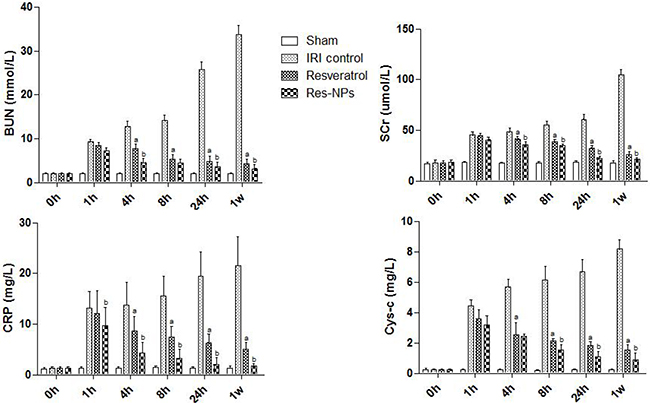 Renal function assay.