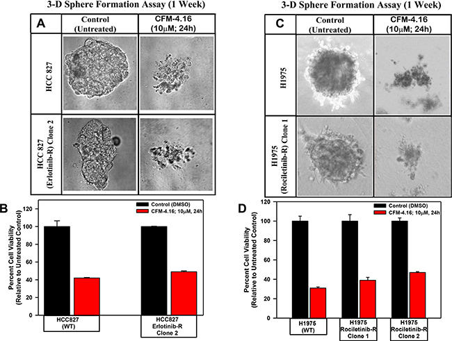 CFM-4.16 inhibits growth of NSCLC spheres derived from parental and TKI-resistant cells.