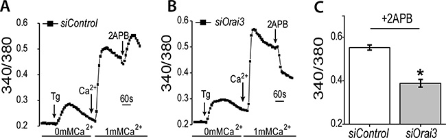 Orai3 silencing blocks 2APB dependent increase in SOCE.