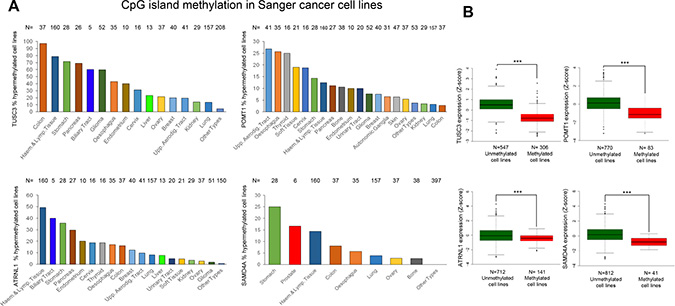 Hypermethylation profiles for the circRNA host genes in cancer cell lines and their association with transcript down-regulation.