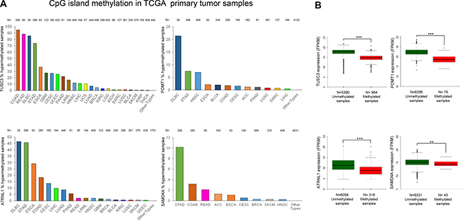 Hypermethylation profiles for the circRNA host genes in primary tumors and their association with transcript down-regulation.