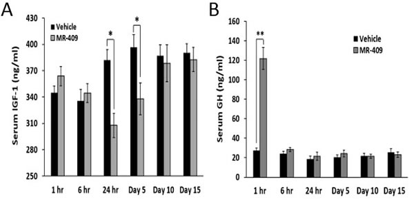 MR-409 suppresses the serum IGF-1 in C57BL/6 mice.