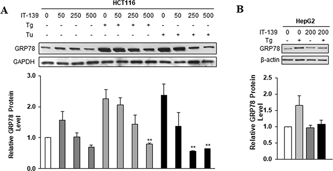 IT-139 suppresses induction of GRP78 by different ER stress inducers.