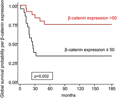 Global survival probability per &#x03B2;-catenin expression.