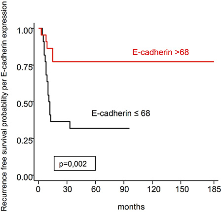 Recurrence free survival probability per E-cadherin expression.