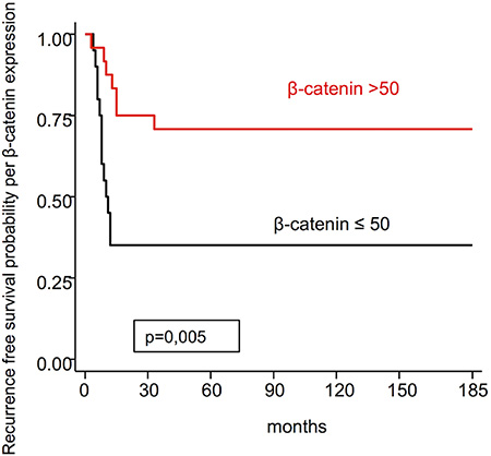 Recurrence free survival probability per &#x03B2;-catenin expression.