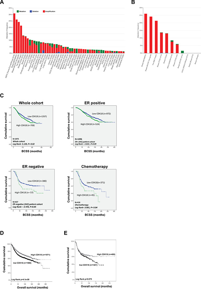 Genetic and transcriptomic analysis of CDK18 in breast cancer cohorts.