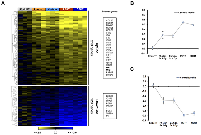 Therapy dependent gradual regulation of gene expression in A431 tumor.