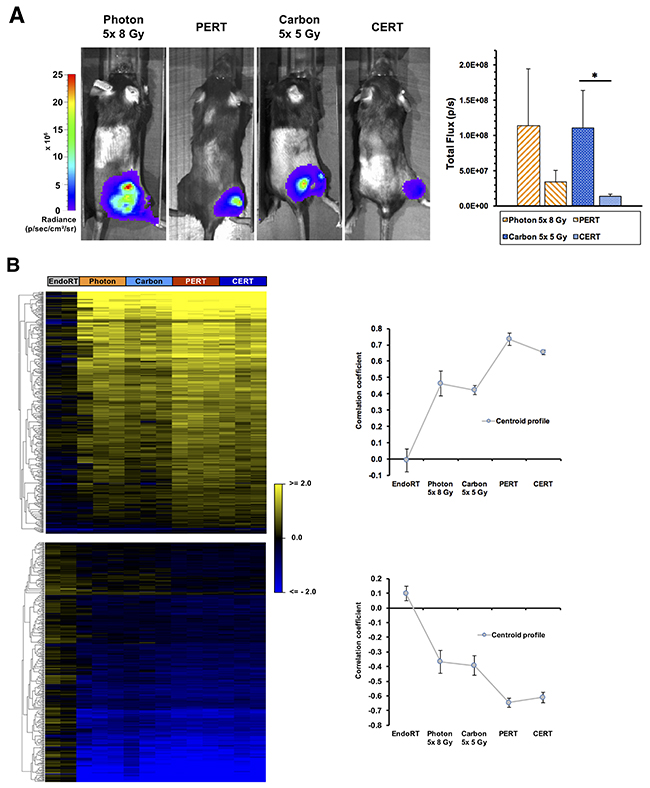 Treatment effects of combined EBRT and 131I-Benzamide endoradiotherapy on Bioluminescence and gene expression in B16F10 luc2&#x002B;-bearing mice.
