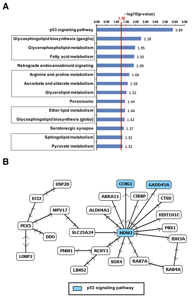 Upregulated genes in B16F10-tumors after dual treatment.
