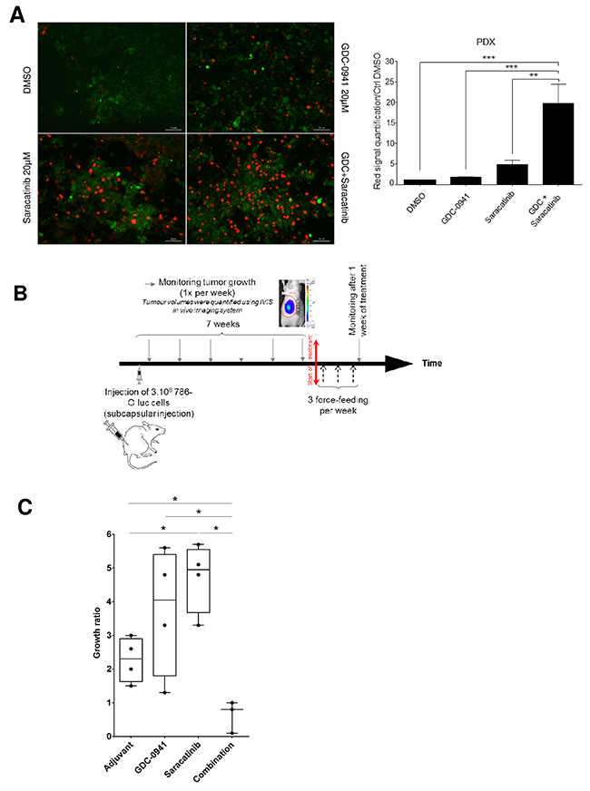 Tumor-suppressive effect of the combination.