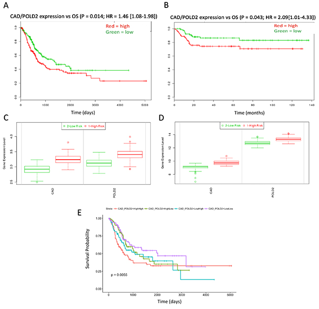 CAD/POLD2 expression analysis and independent association with drug response.