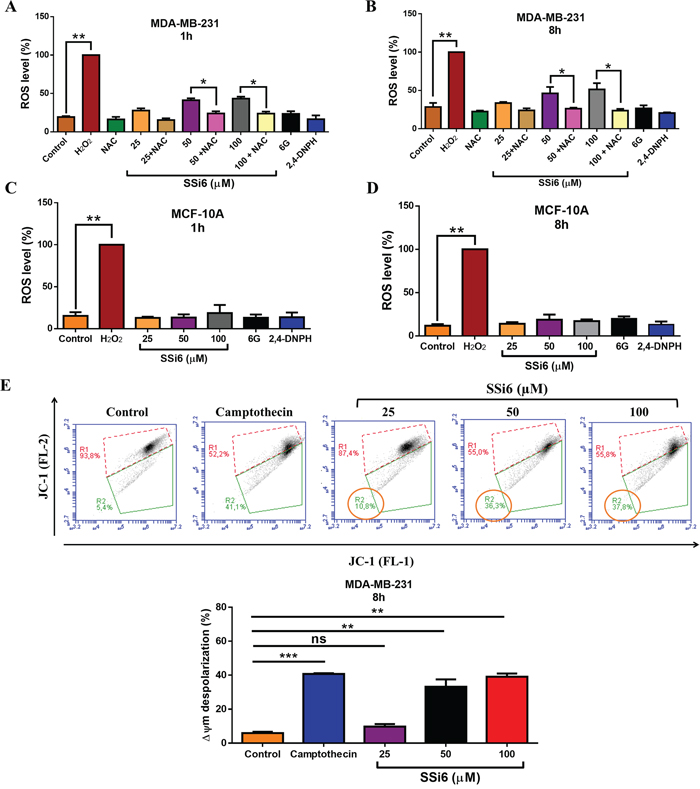 Effects of SSi6 in ROS formation and mitochondrial membrane potential.